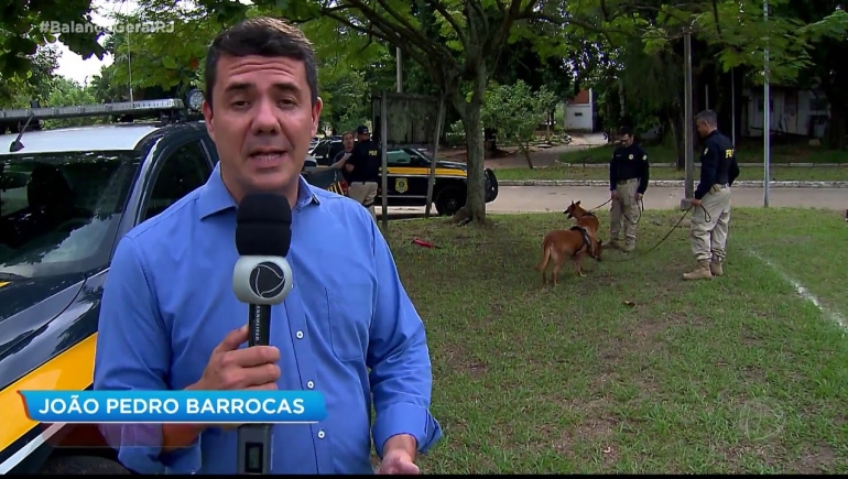 Cães aposentados da PRF podem ser adotados